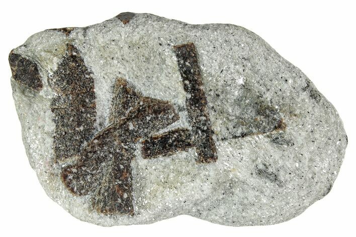 Twinned Staurolite Cross In Glittering Mica-Schist - Russia #240422